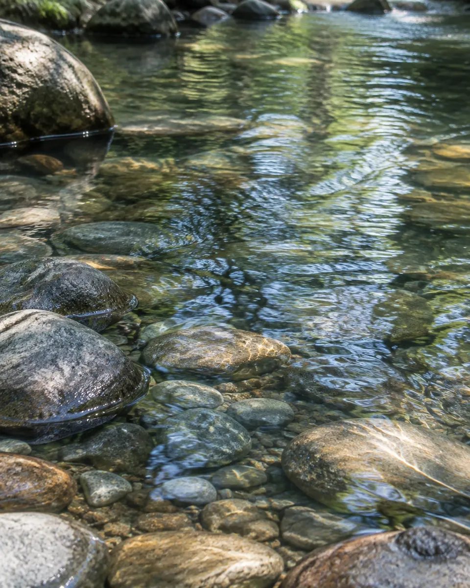 Clear creek water moving over smooth river stones in dappled woodland light